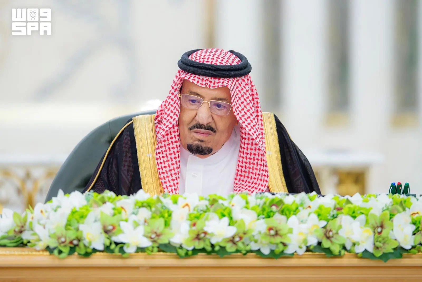 صورة من الألبوم