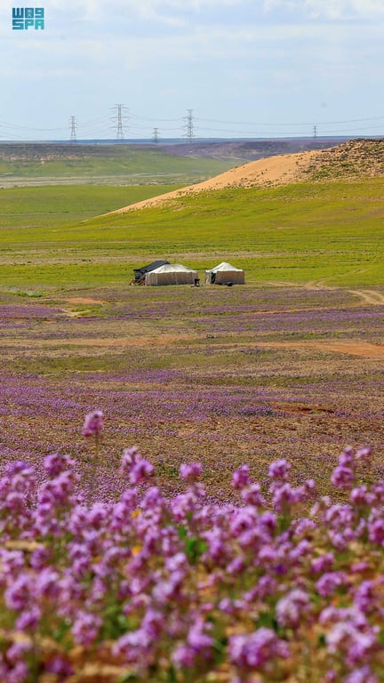 السياحة البرية في الحدود الشمالية