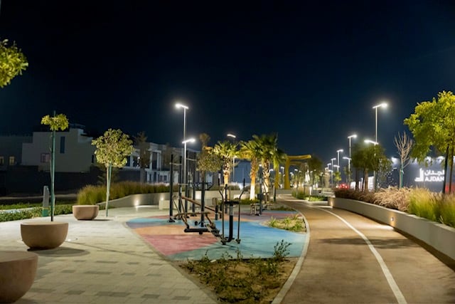 صورة من الألبوم