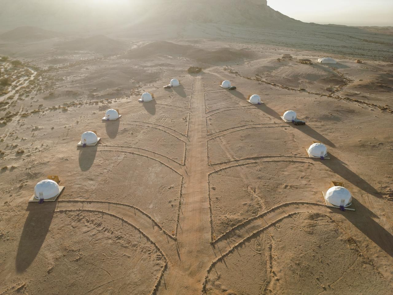 صورة من الألبوم