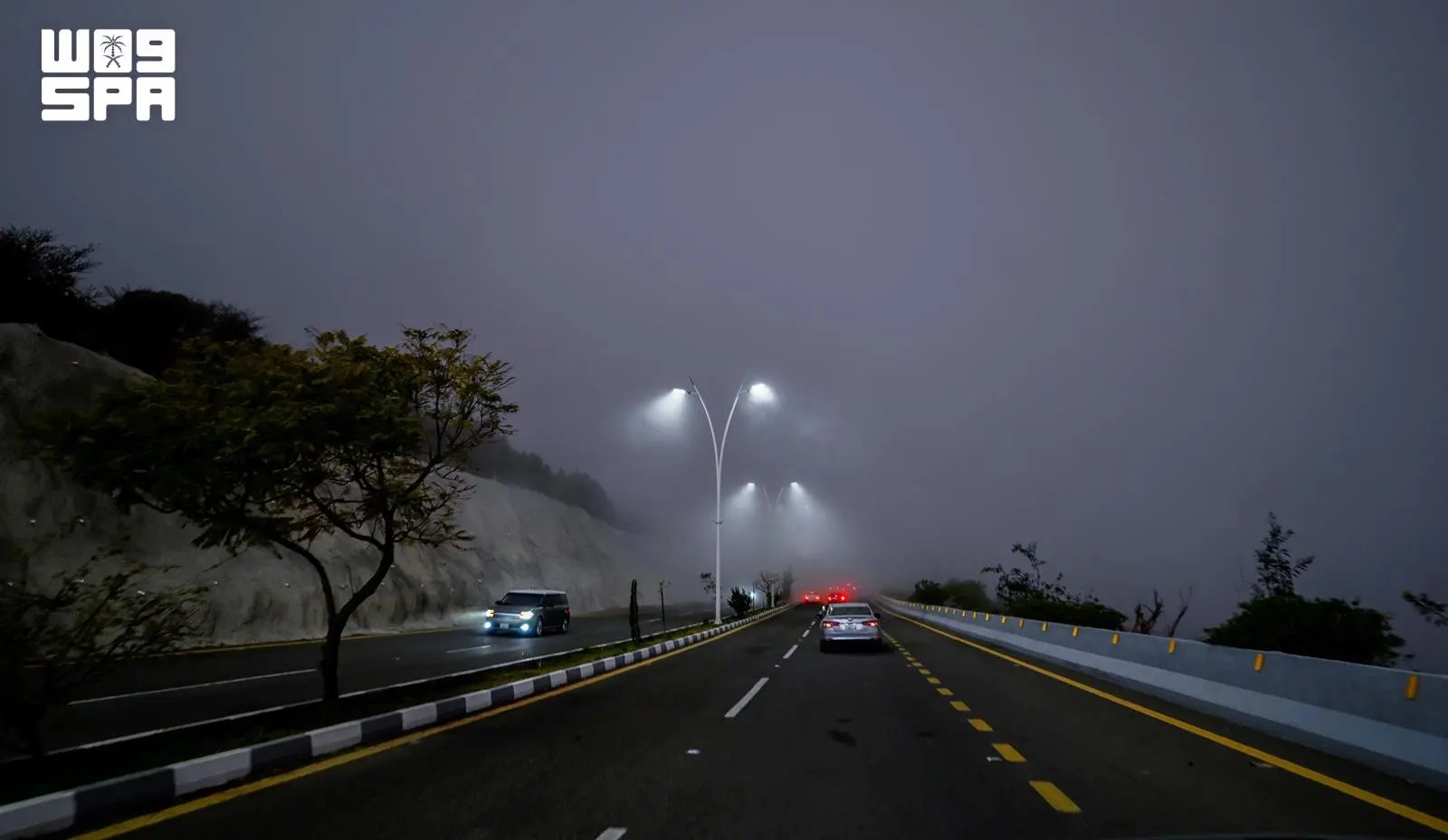 صورة من الألبوم
