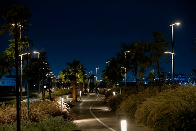 صورة من الألبوم