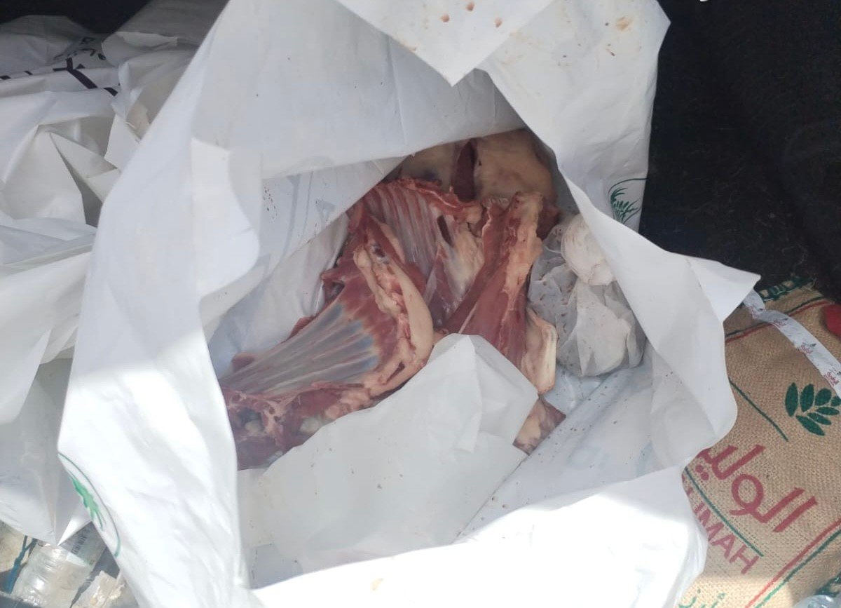 صورة من الألبوم