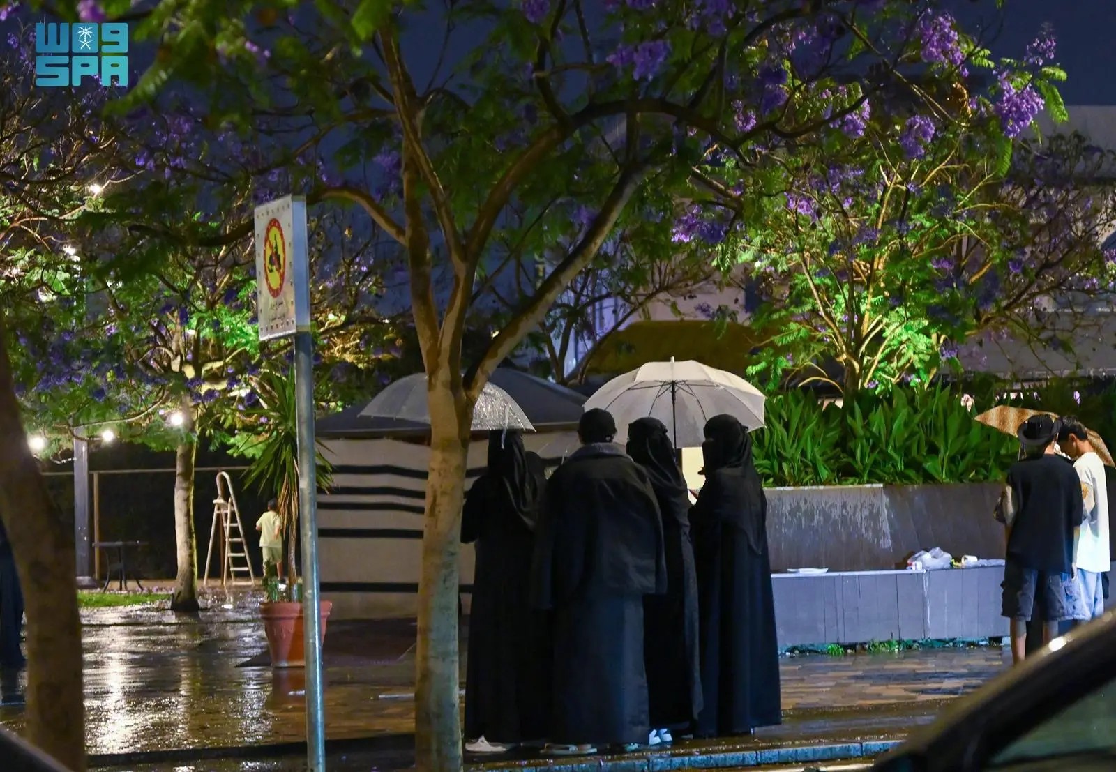 صورة من الألبوم