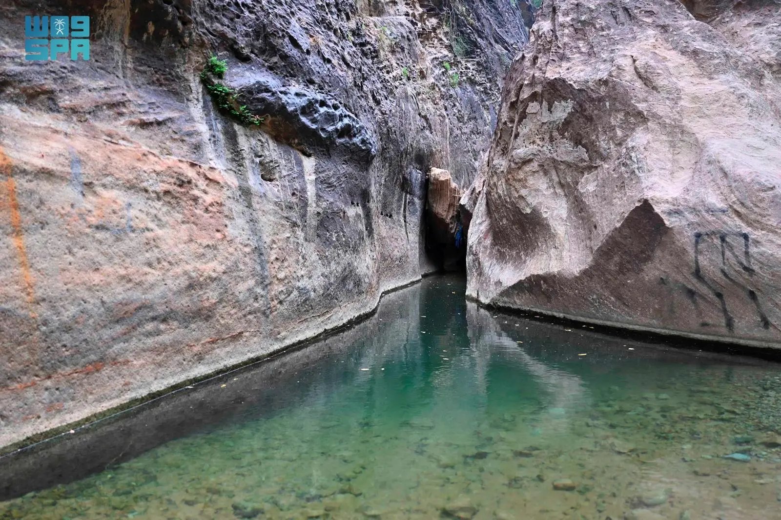 صورة من الألبوم