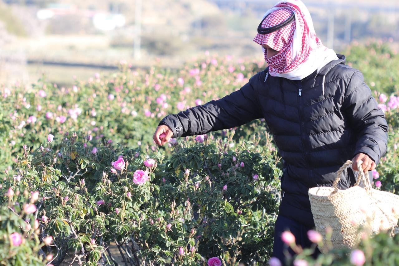 ماء وعطر ودهن.. شاهد بدء