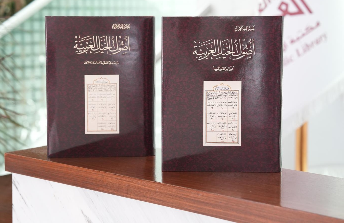 صورة من الألبوم