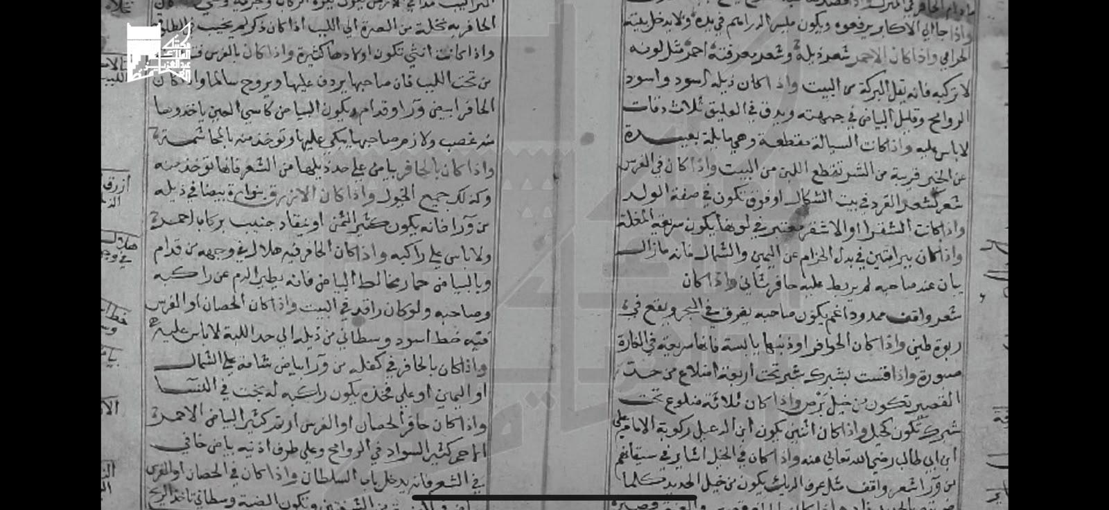 مخطوطة نادرة بمكتبة الملك عبدالعزيز العامة عن معرفة سياسة الخيل