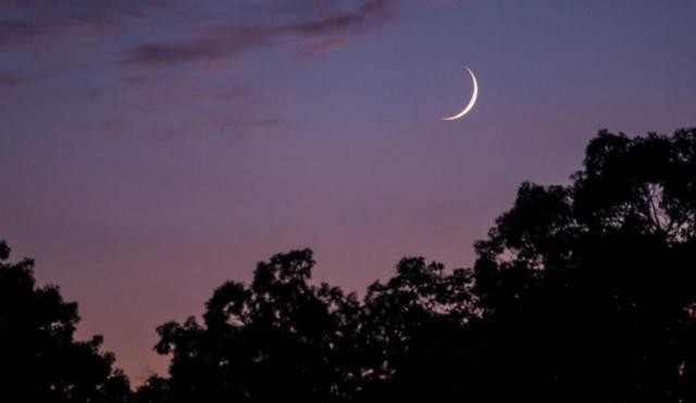 ?لثلاثاء غرة رمضان في الكثير