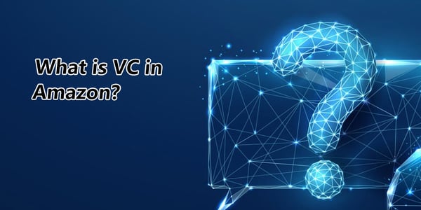 What is VC in Amazon