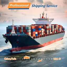Professional Shipping Service