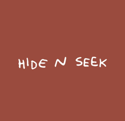 Hide N Seek 