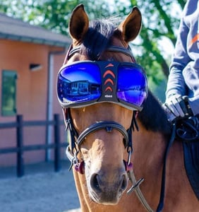eQuick eVysor Horse Eye Goggles – Mirrored Blue