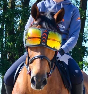 eQuick eVysor Horse Eye Goggles – Mirrored Orange