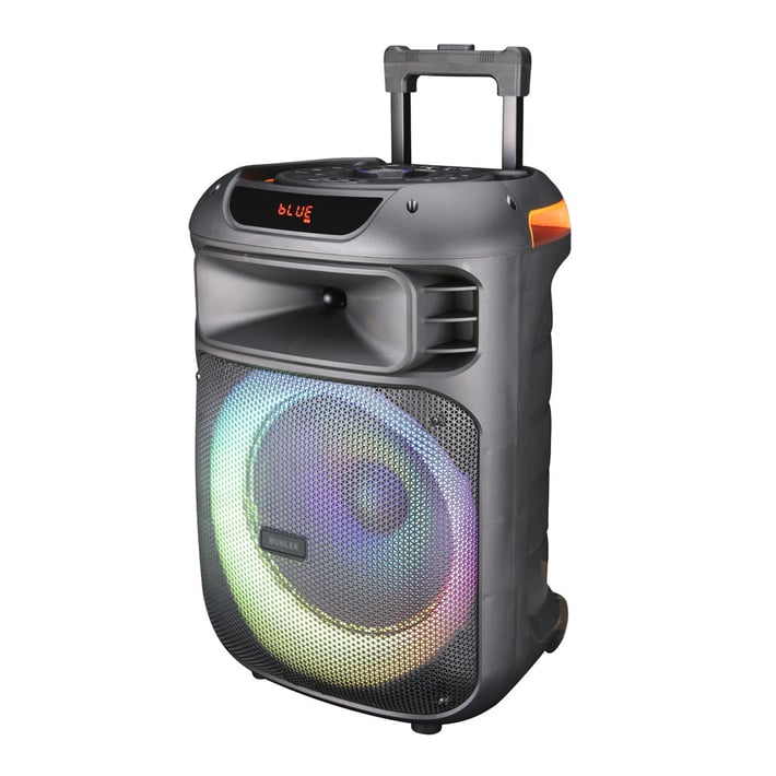 Active Speaker Muhler MAX333XR