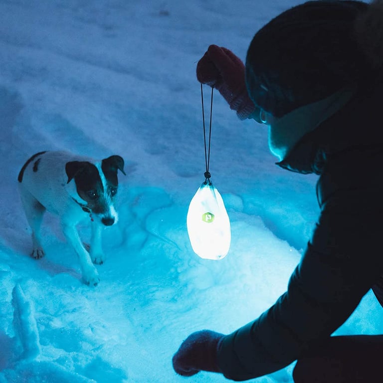 Luminoodle | Cuerda de luces LED adaptable, intuitiva y portátil