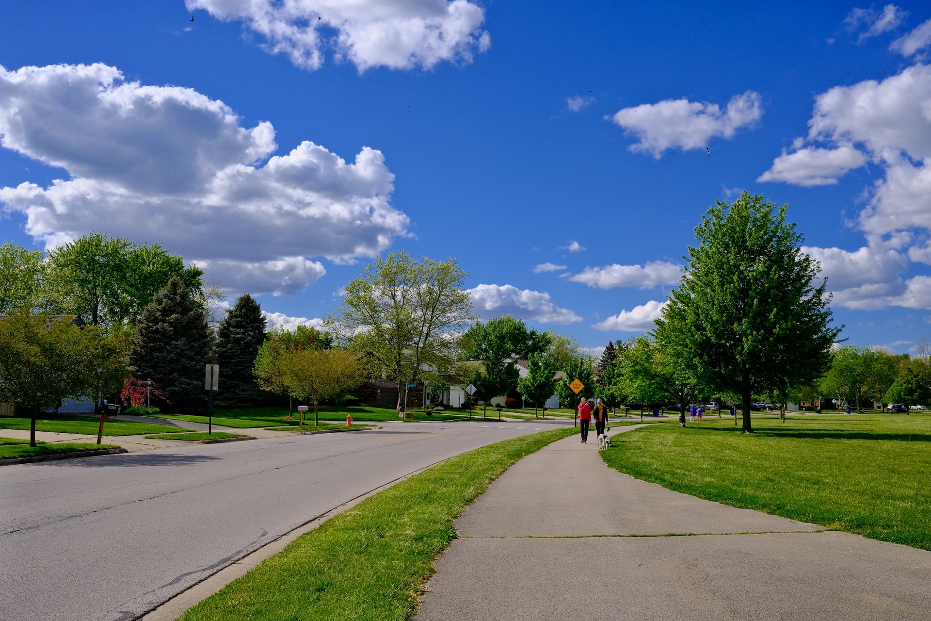 Walk in the Park — Jon's Velvia — X100V SOOC JPG