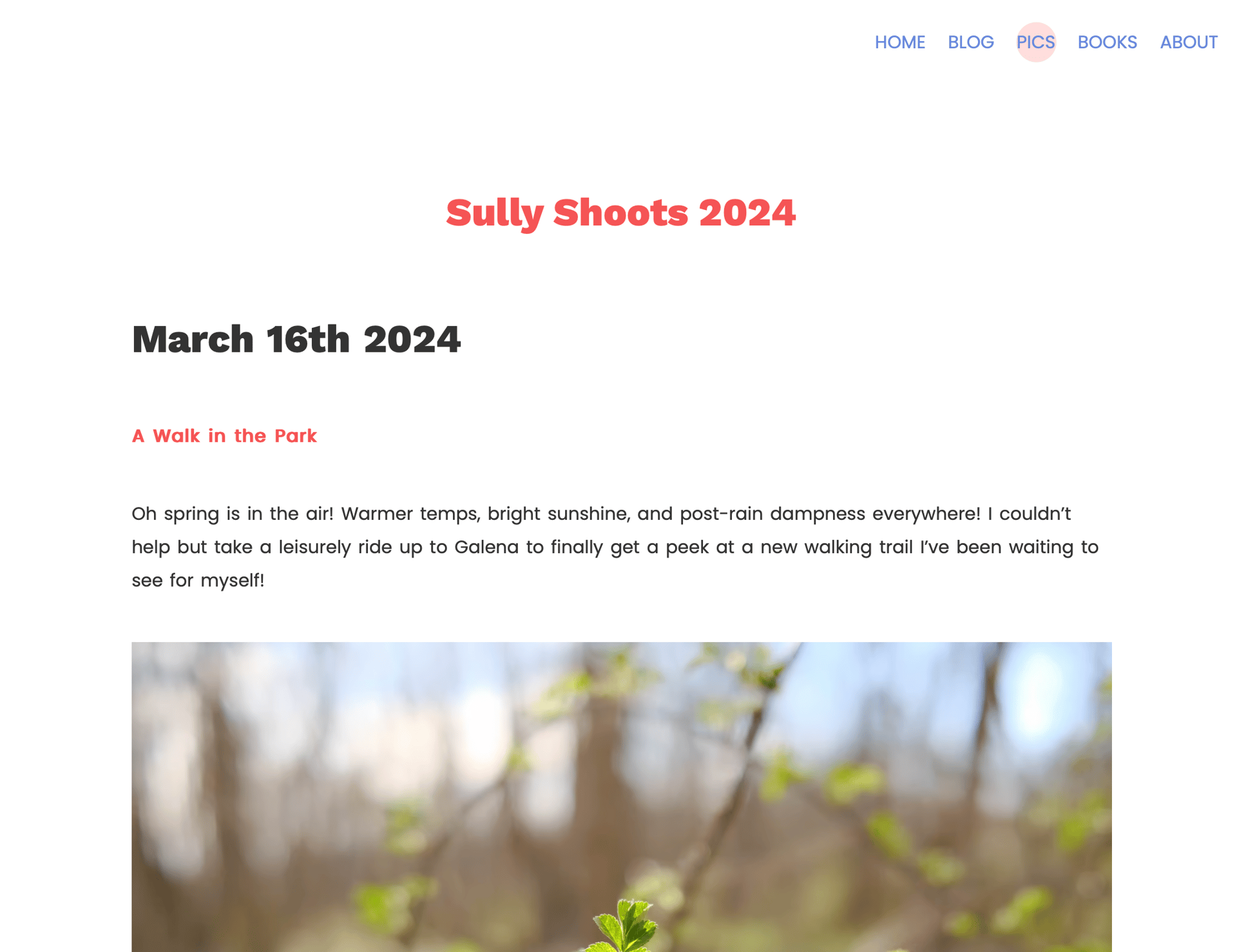 image-20240429170218496