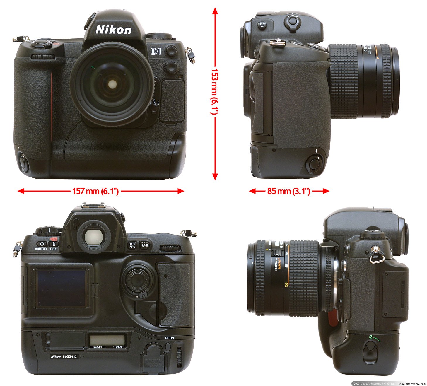 The Dinosaur: Nikon D1