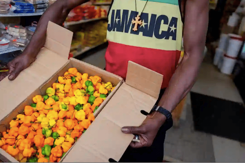 Will climate shocks price scotch bonnets out of the Caribbean?