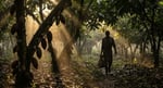 The Serpent in the Grove — and the algorithm that cried foul