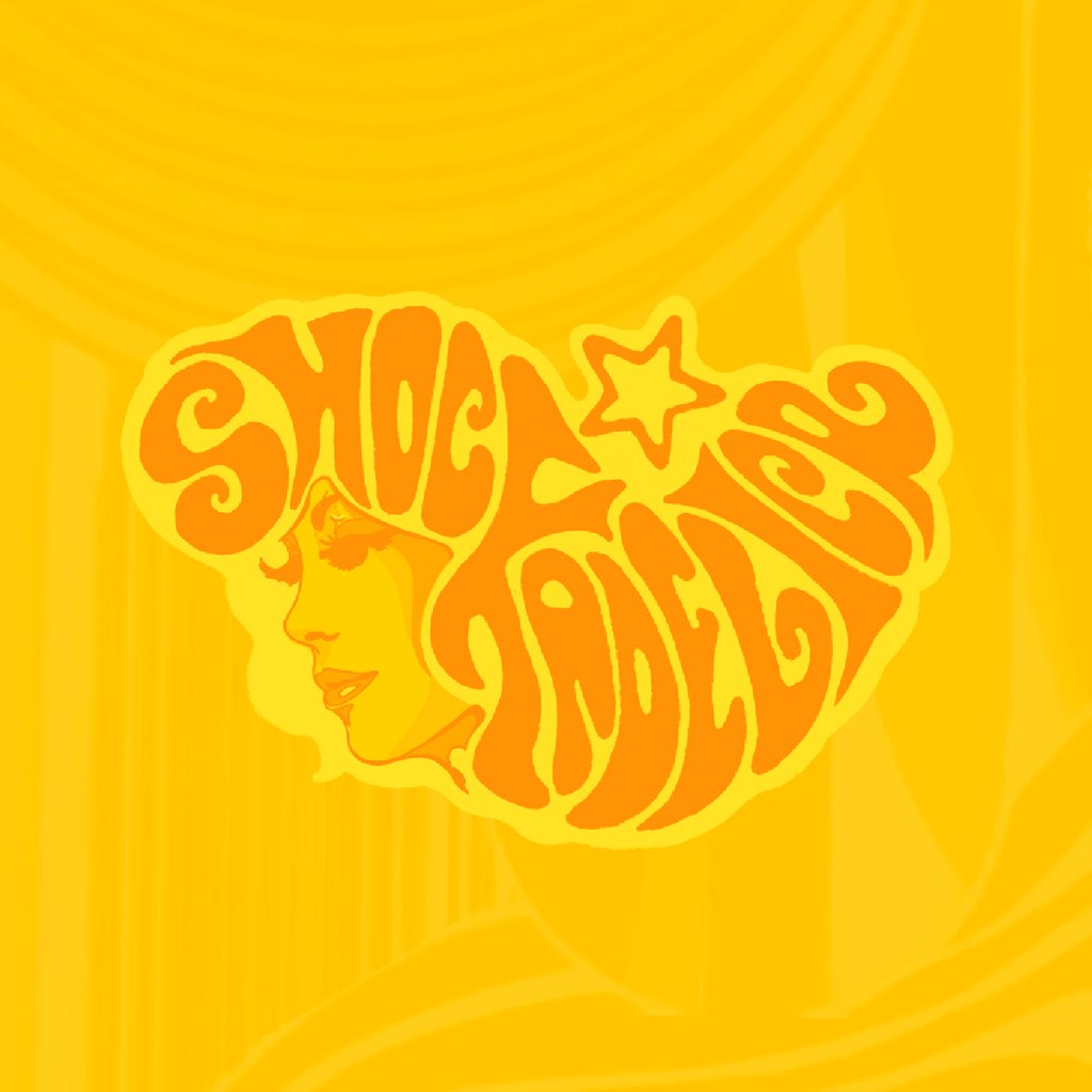 Shockadelica's Friends Live Gig