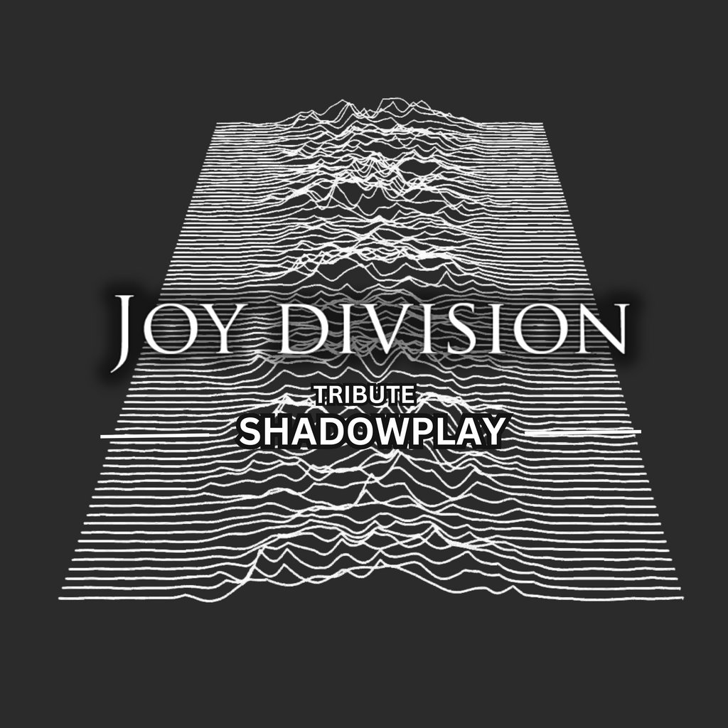 Joy Division tribute Shadowplay Live