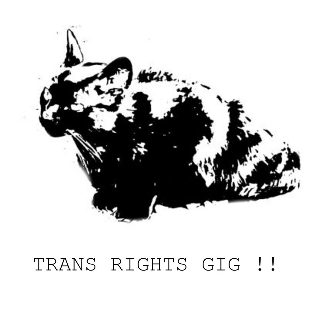 Trans Rights Mosh Night!