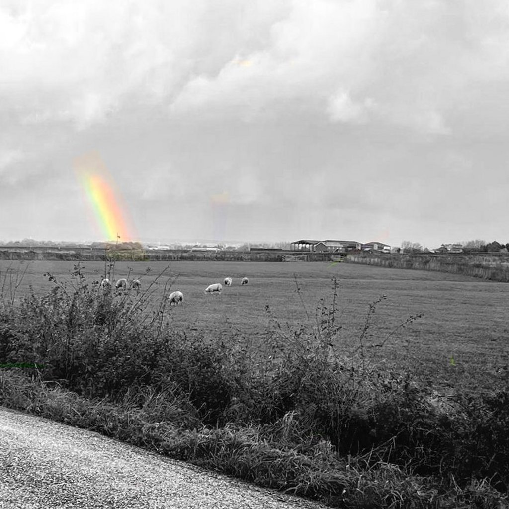 The Nebraska Tour - A Tribute