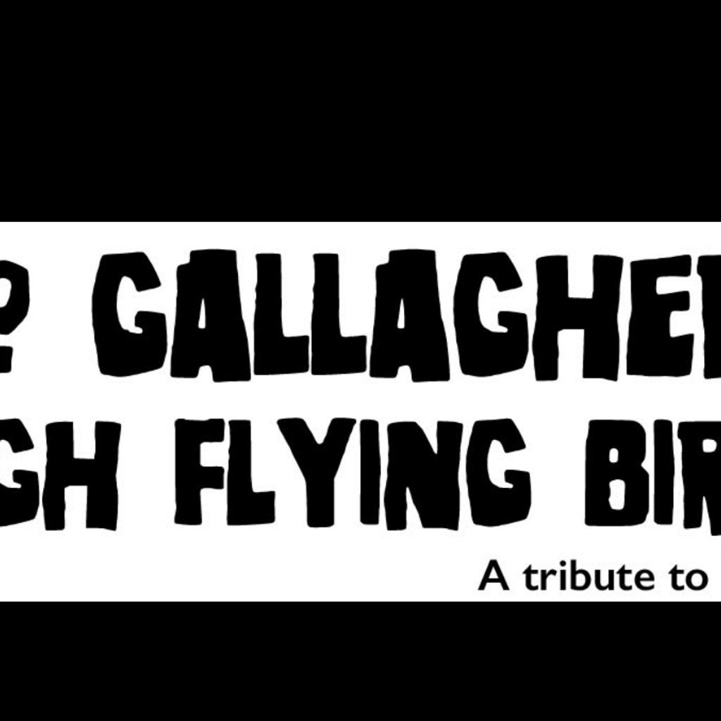 No Gallaghers' High Flying Birds