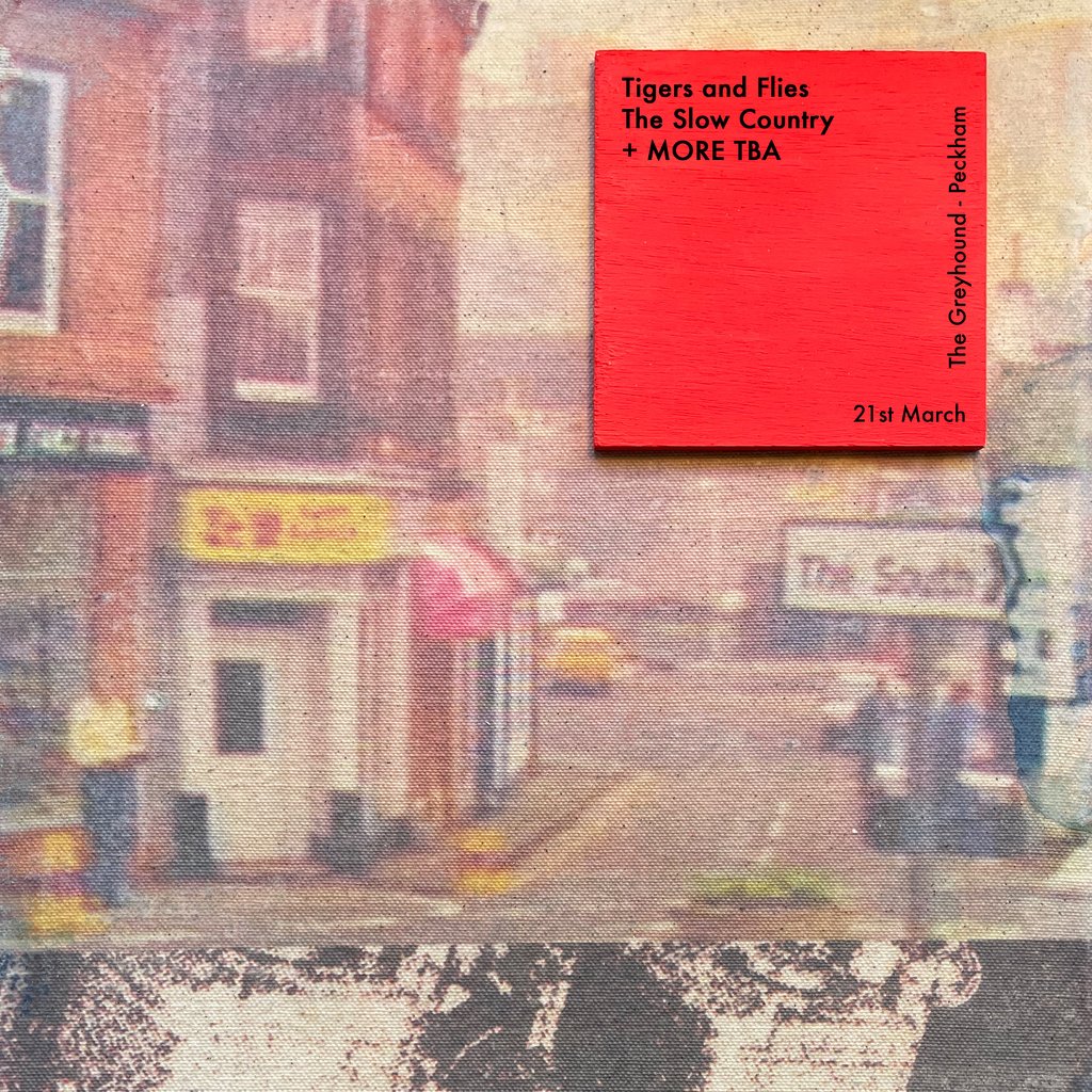 Tigers and Flies LP Fundraiser w/ The Slow Country + SHY !