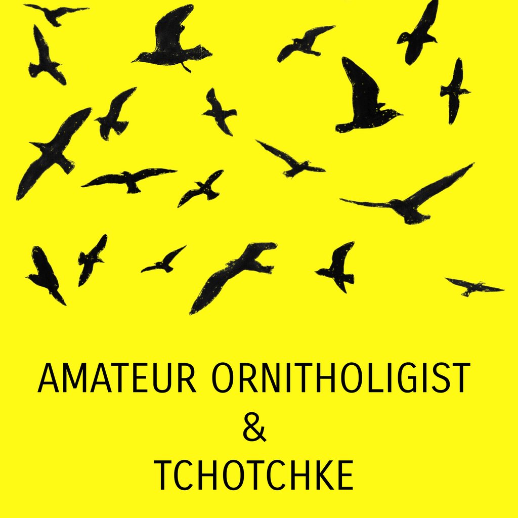 Amateur Ornithologist with Tchotchke