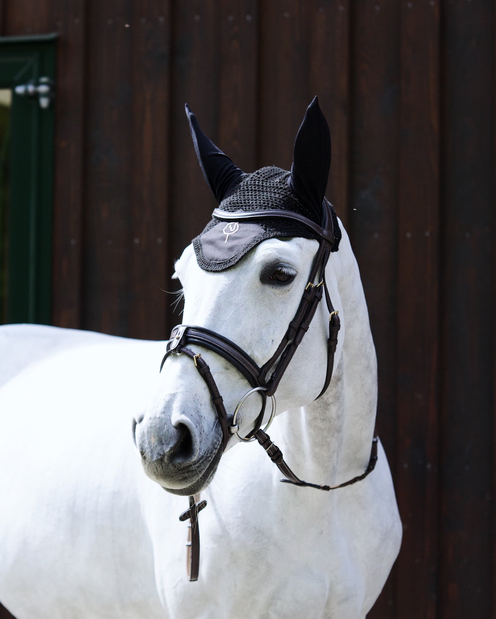 Bridle Mela Brischino