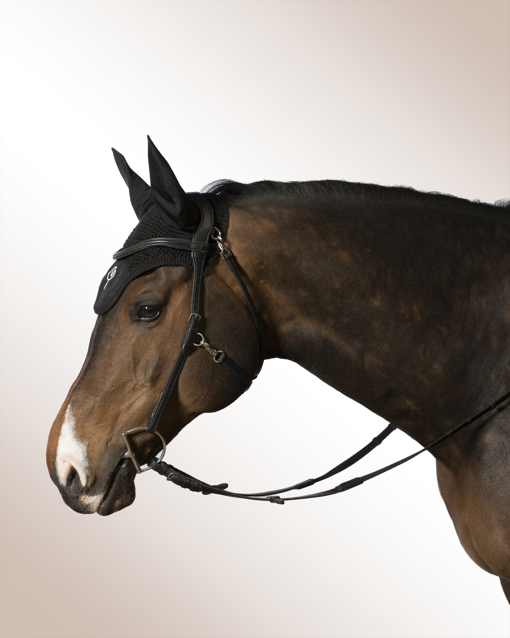 Bridle Mela Elacorda