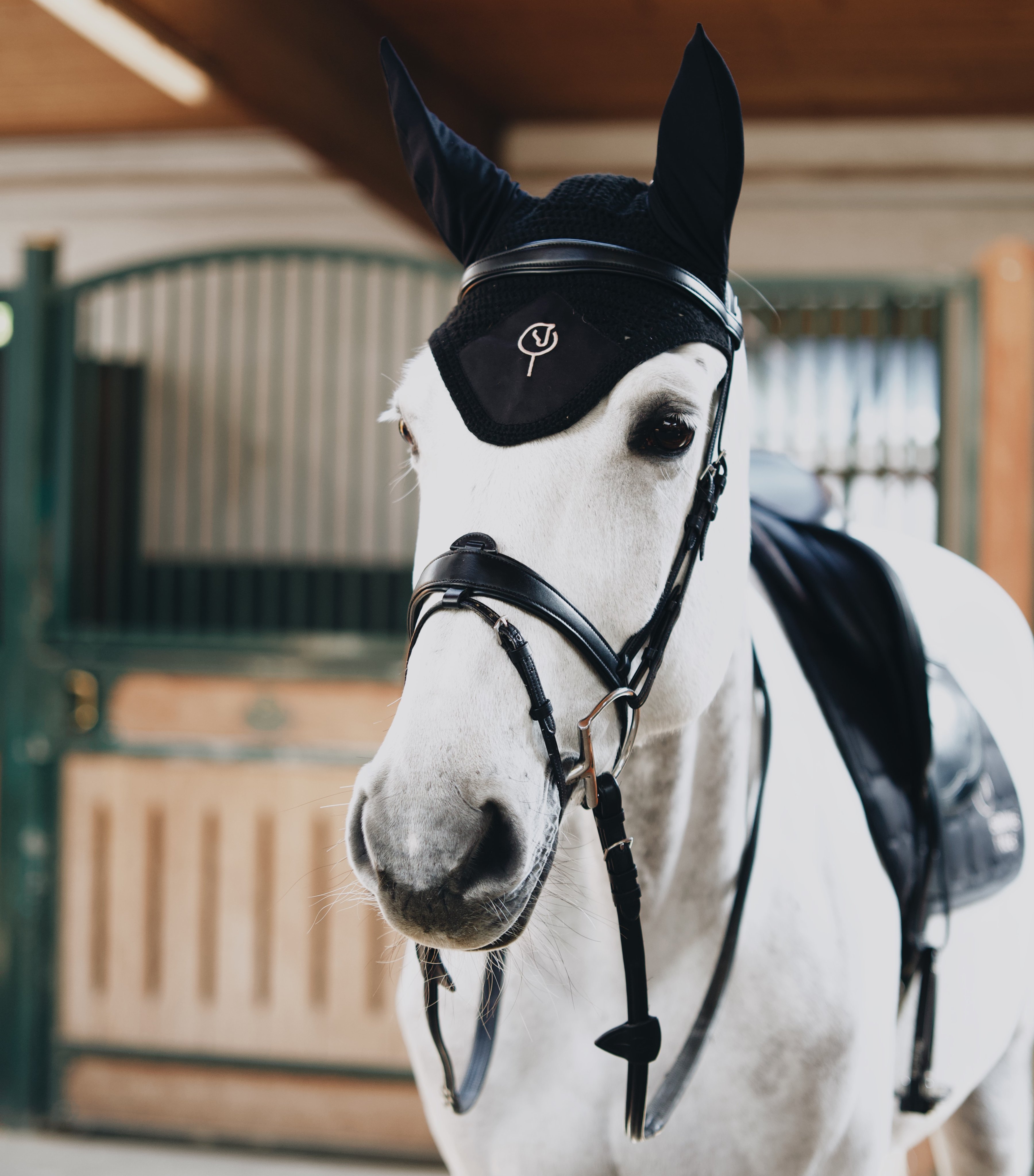 Bridon Mela Noir Classic - INOX