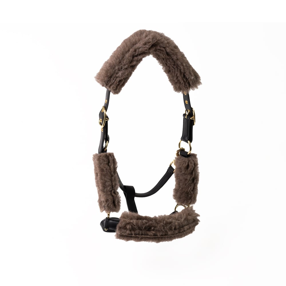 Halter with Alpaca Fleece - Image 4