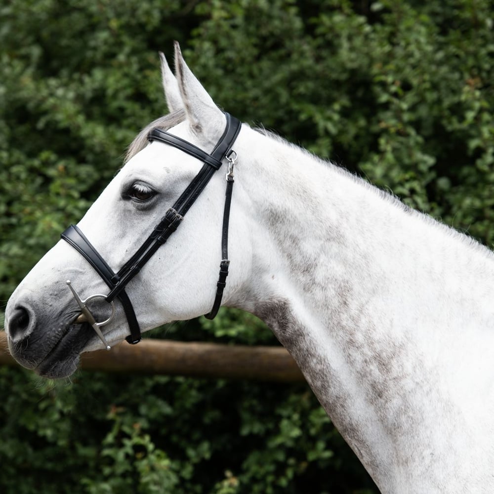 Bridle Mela Black Classic - INOX
