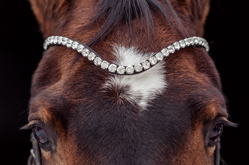 Browband with Crystals - Image 2
