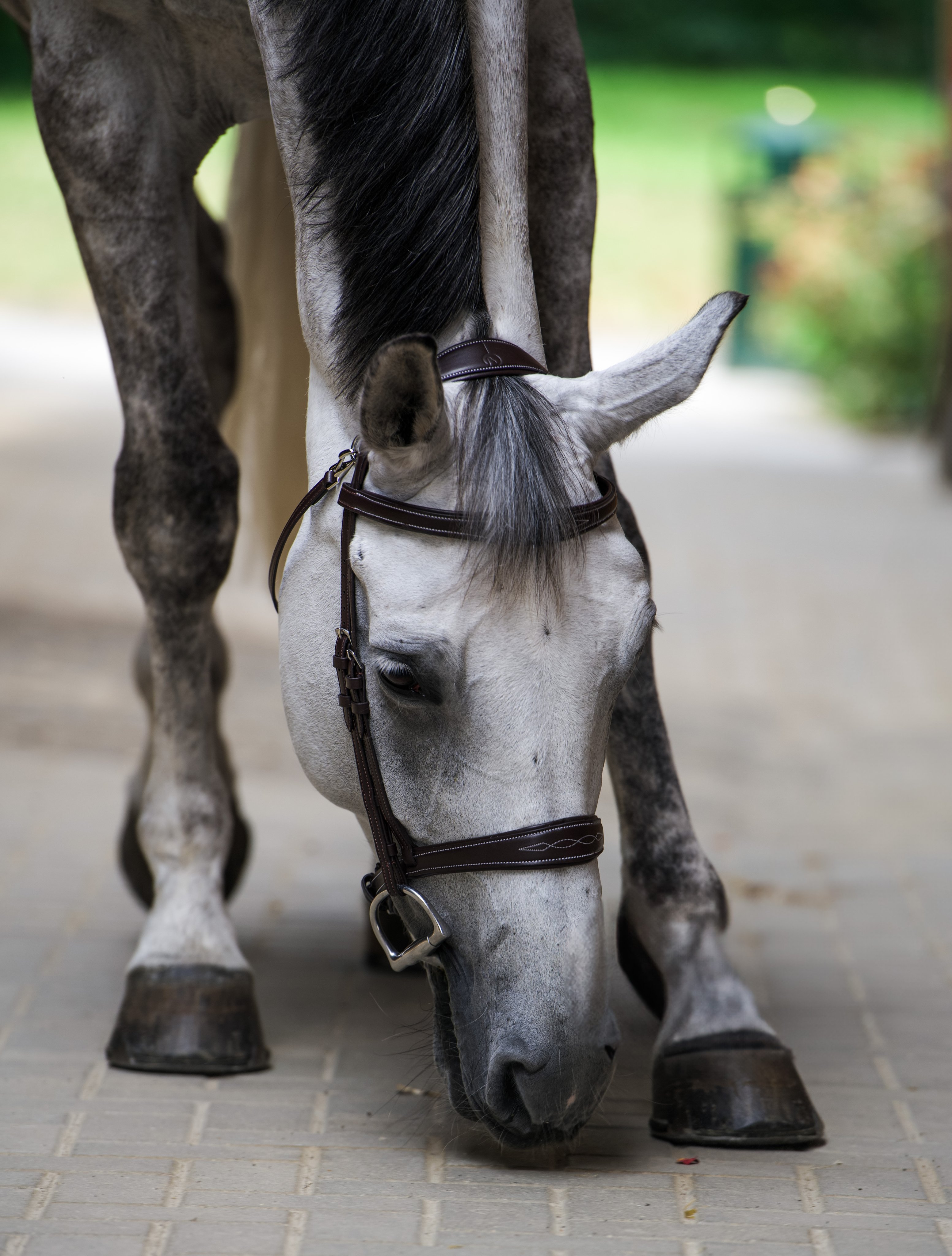 Bridon Mela Marron Decor - INOX