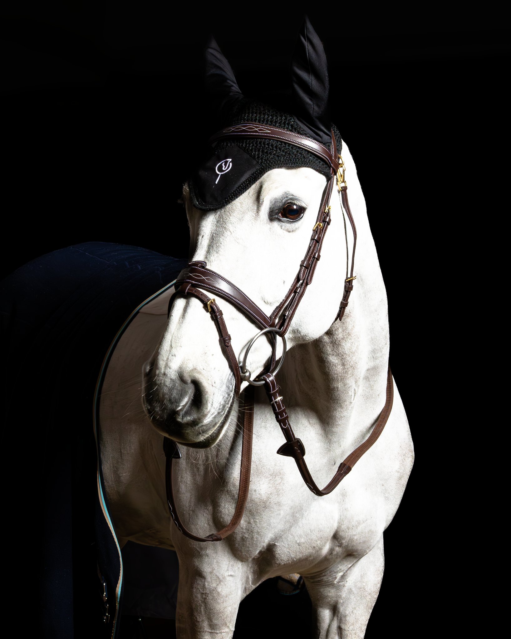 Trense Mela Braun Decor - Messing