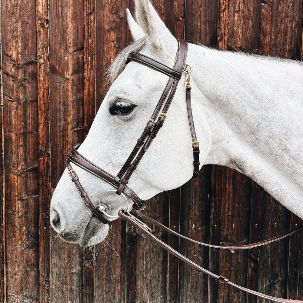 Bridle Mela Brown Decor - Brass
