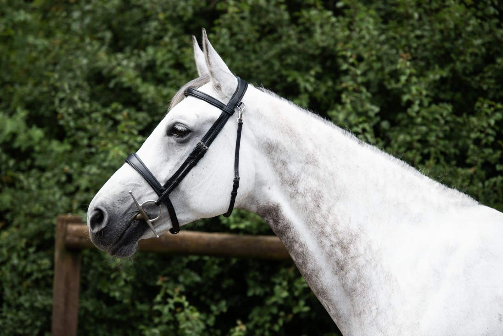 Bridon Mela Noir Classic - INOX