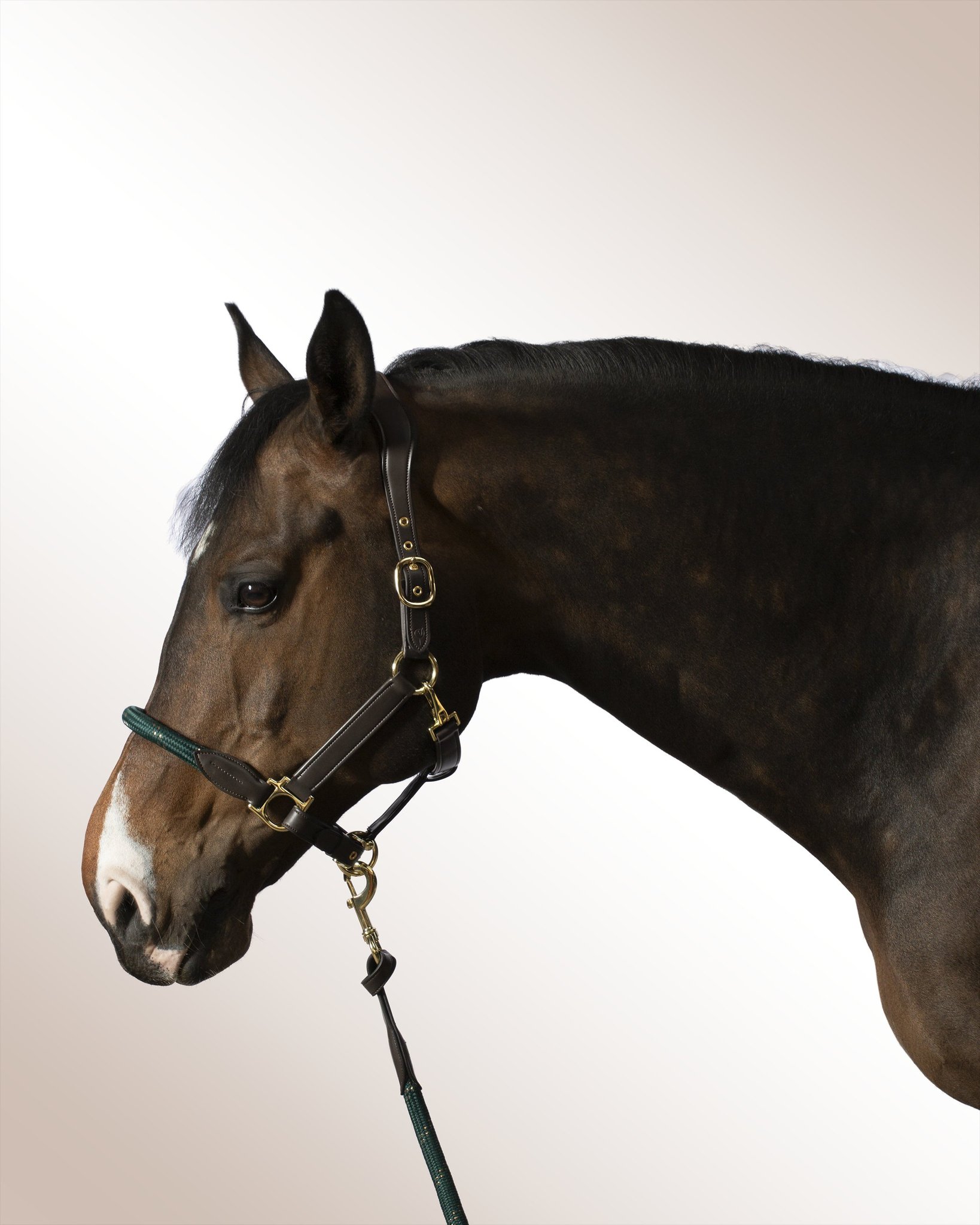 Halter Mela Olivoro