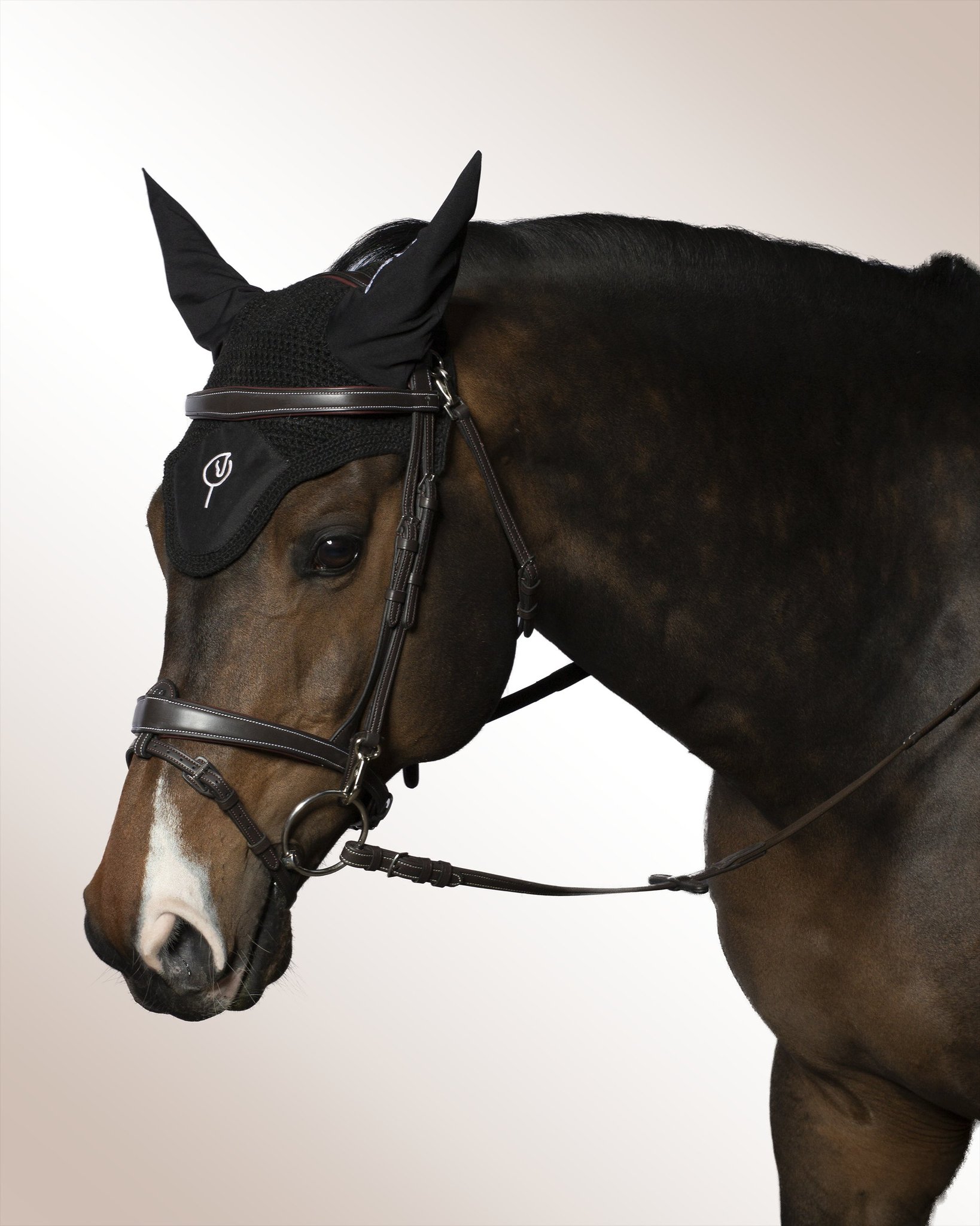 Bridle Mela Lenaglia