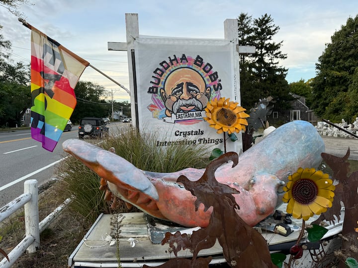 Exploring Buddha Bobs: Cape Cod’s Hidden Gem for the Soul