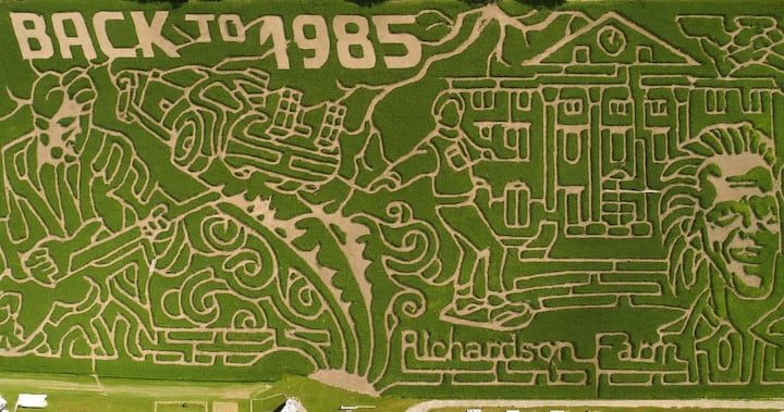 Fall’s Greatest Escape: Inside the World’s Largest Corn Maze at Richardson Adventure Farm