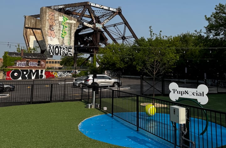 Pup Social: Chicago’s Premier Private Dog Club Redefining Pet-Friendly Living