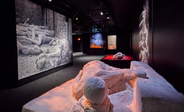 Life and Death In Ancient Pompeii At Museum Of Science And Industry
