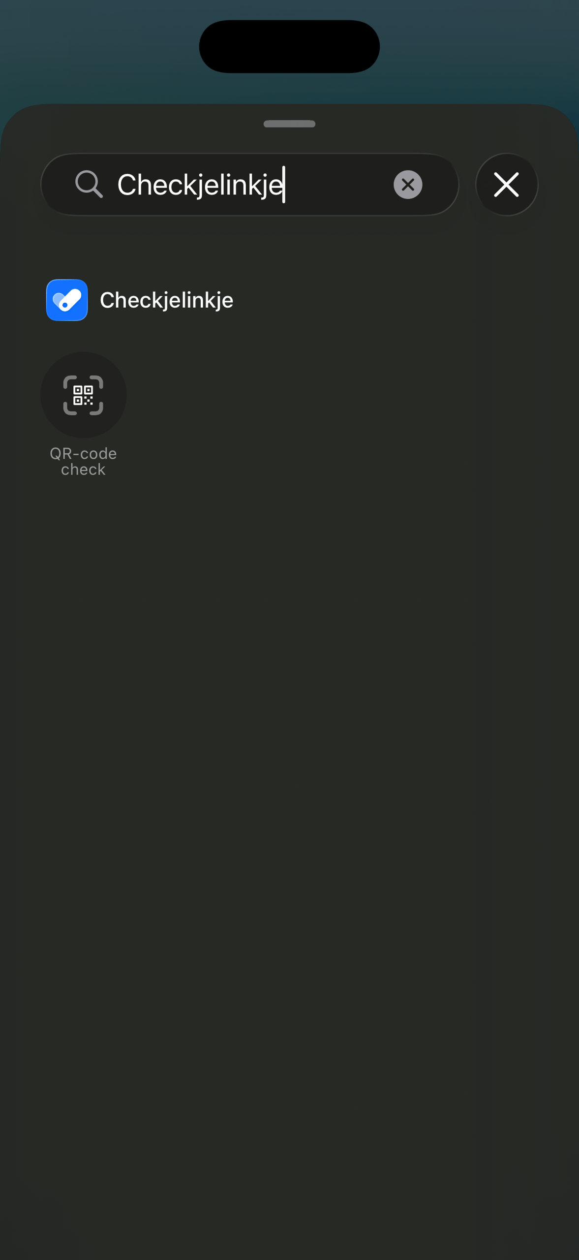 QR-check in het Bedieningspaneel op iPhone.