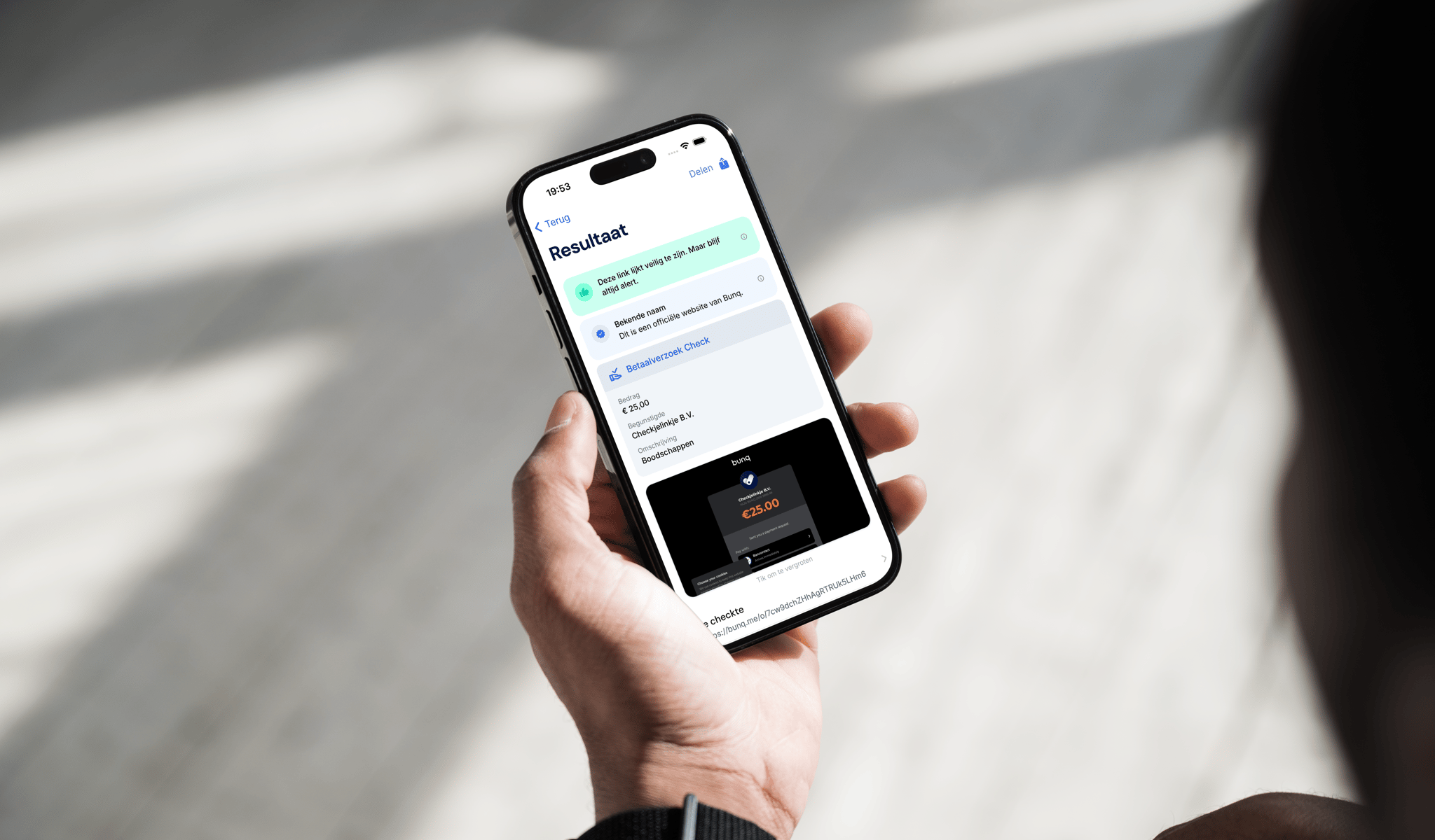 Voorbeeld van hoe je de 'Betaalverzoek Check' kunt gebruiken om een betaalverzoek te controleren.